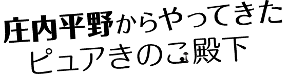 庄内平野からやってきたピュアきのこ殿下