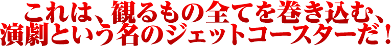 これは、観るもの全てを巻き込む、演劇という名のジェットコースターだ!
