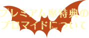 プレミアム席特典のブロマイドについて